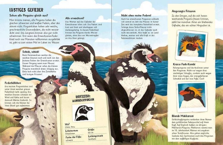 Produktbild: Was f&uuml;r Sachen Pinguine machen