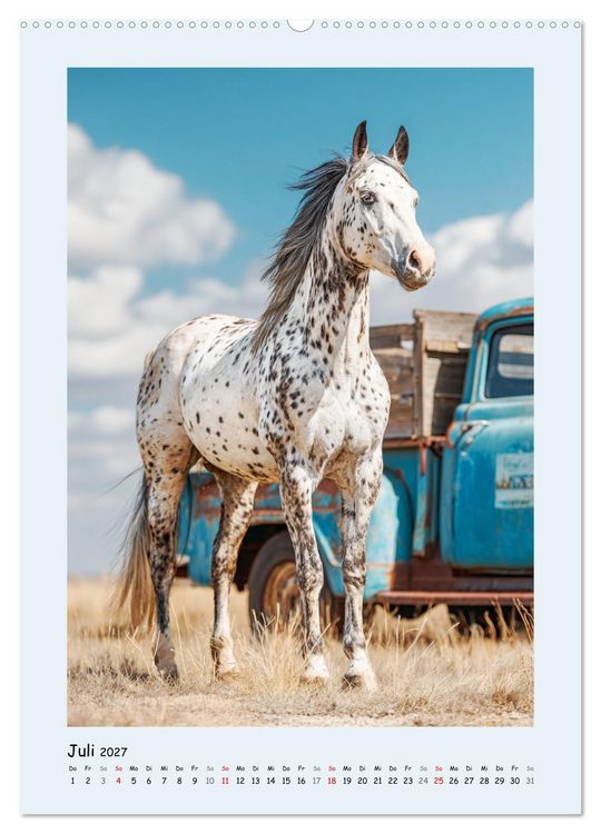 Produktbild: Der Appaloosa. Ein zuverl&auml;ssiges Westernpferd in bunter Optik (Wandkalender 2027 DIN A2 hoch), CALVENDO Monatskalender
