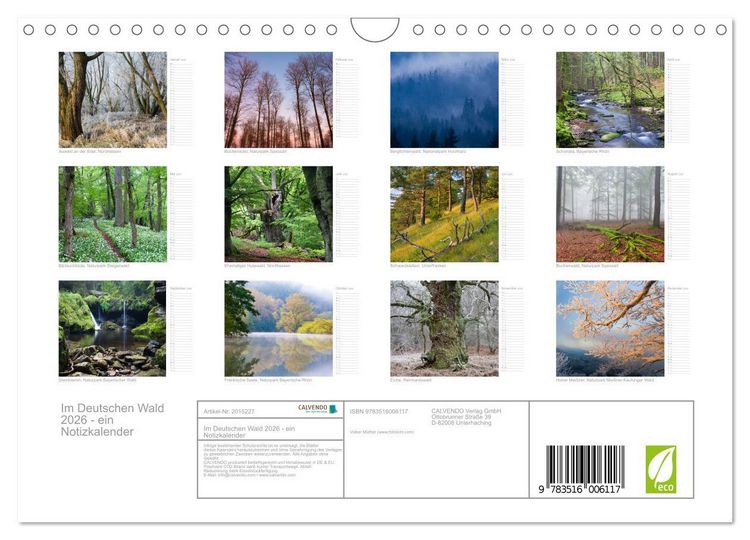 Produktbild: Im Deutschen Wald 2026 - ein Notizkalender (Wandkalender 2026 DIN A4 quer), CALVENDO Monatskalender