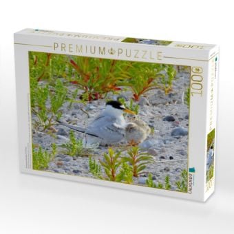 Produktbild: CALVENDO Puzzle Zwergseeschwalbe mit K&uuml;ken | 1000 Teile Lege-Gr&ouml;&szlig;e 64x48cm Foto-Puzzle f&uuml;r gl&uuml;ckliche Stunden