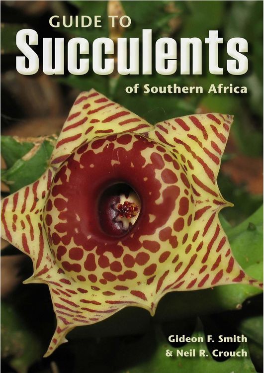 Produktbild: Guide to Succulents of Southern Africa