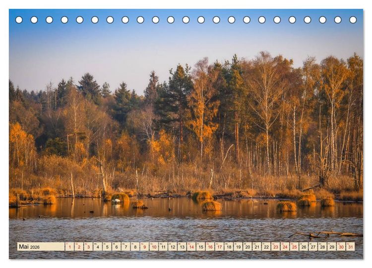 Produktbild: Herbst im Schwenninger Moos (Tischkalender 2026 DIN A5 quer), CALVENDO Monatskalender