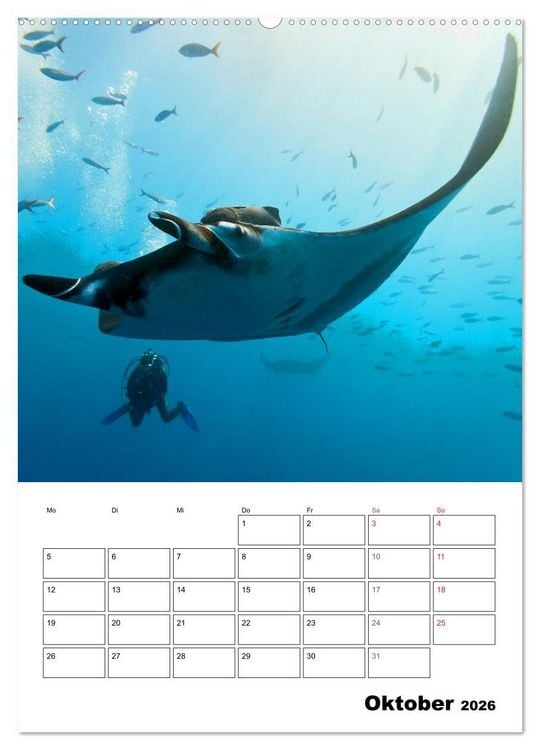 Produktbild: Tauchen - Abtauchen und Staunen (hochwertiger Premium Wandkalender 2026 DIN A2 hoch), Kunstdruck in Hochglanz