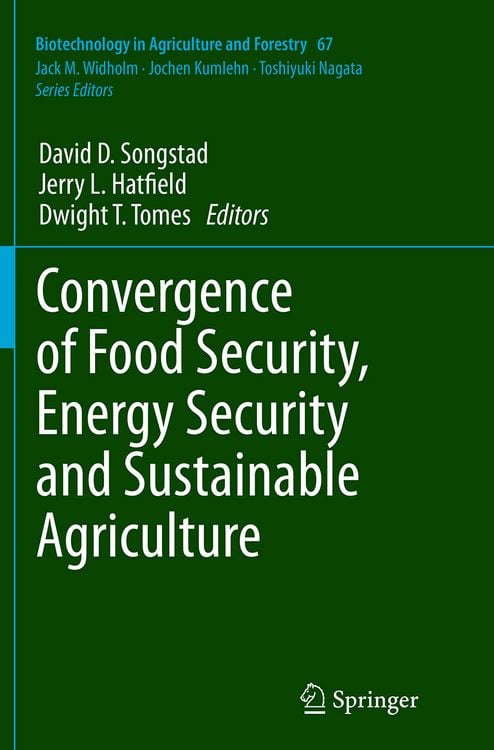 Produktbild: Convergence of Food Security, Energy Security and Sustainable Agriculture