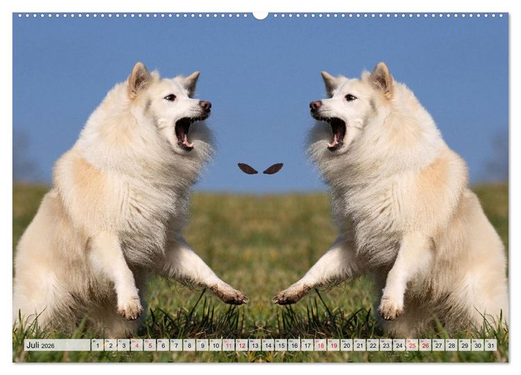 Produktbild: Mit doppelter Power durch das Jahr (hochwertiger Premium Wandkalender 2026 DIN A2 quer), Kunstdruck in Hochglanz