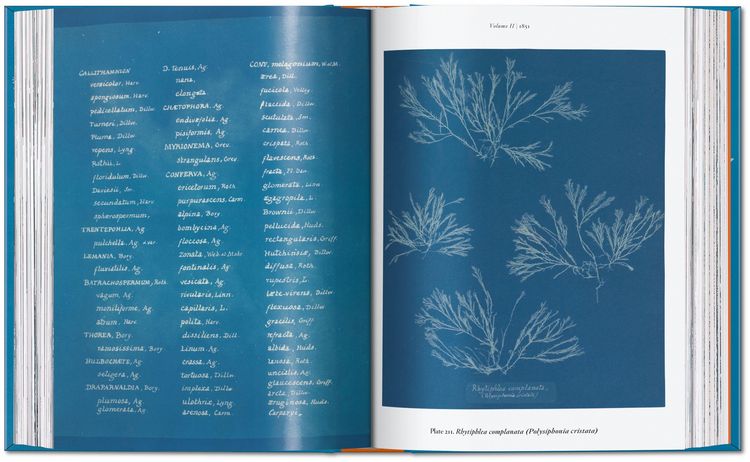 Produktbild: Anna Atkins