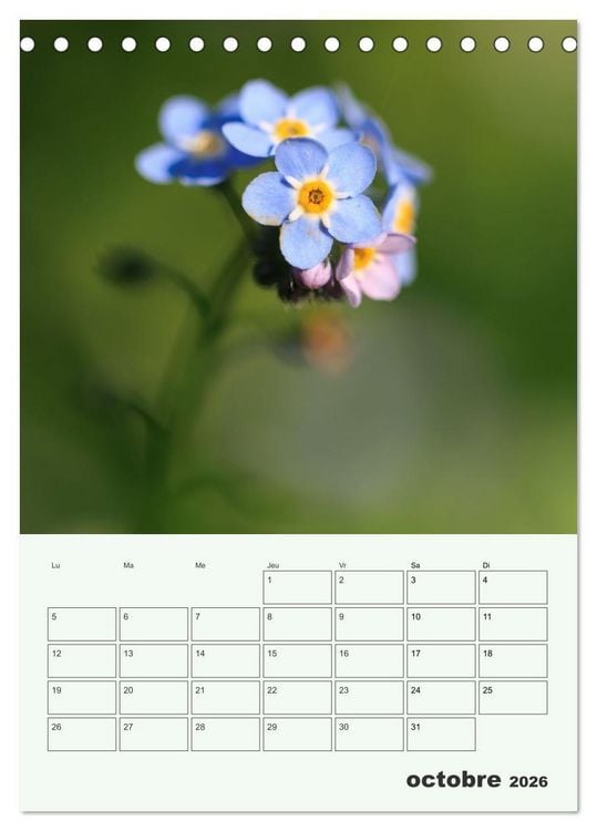 Produktbild: Fleurs en toute simplicit&eacute; - Beaut&eacute; minimaliste (Calendrier de bureau 2026 DIN A5 horizontal), CALVENDO calendrier mensuel
