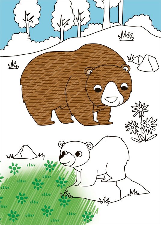 Produktbild: Schraffur-Malbuch. Zootiere