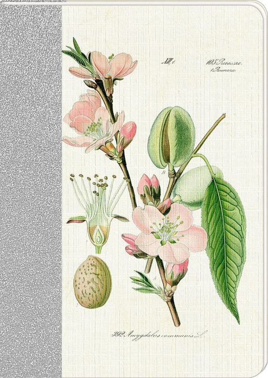 Produktbild: Notizhefte - Sammlung Augustina - DIN A5