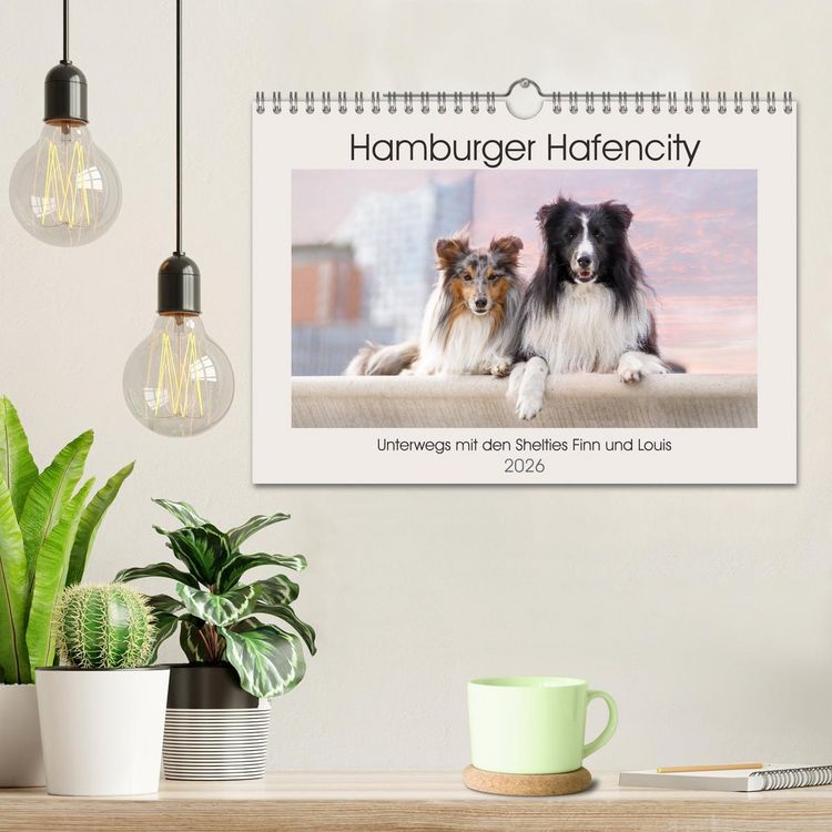 Produktbild: Hamburger Hafencity - Unterwegs mit den Shelties Finn und Louis (Wandkalender 2026 DIN A4 quer), CALVENDO Monatskalender
