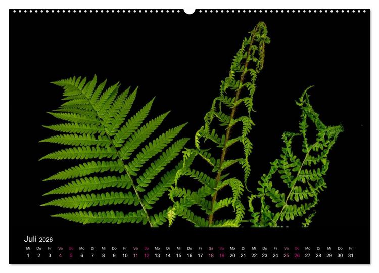 Produktbild: Ver&auml;ndertes (Wandkalender 2026 DIN A2 quer), CALVENDO Monatskalender