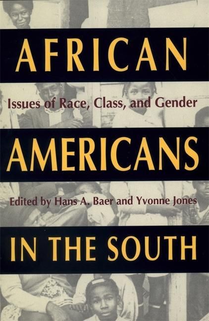 Produktbild: African Americans in the South