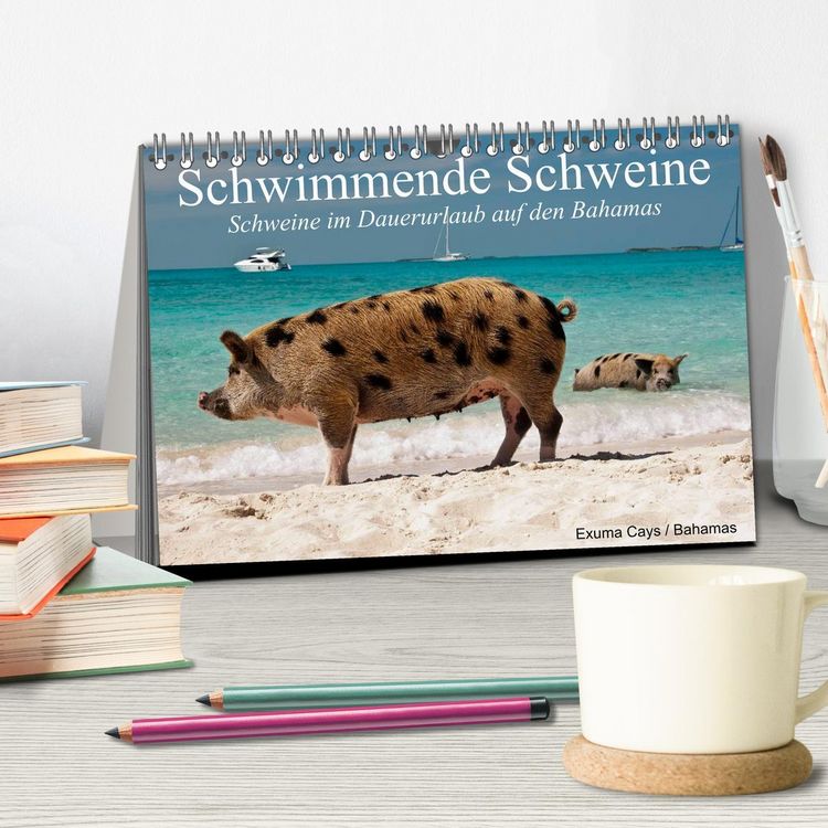 Produktbild: Schwimmende Schweine (Tischkalender 2026 DIN A5 quer), CALVENDO Monatskalender