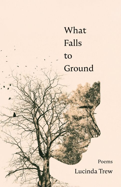 Produktbild: What Falls to Ground