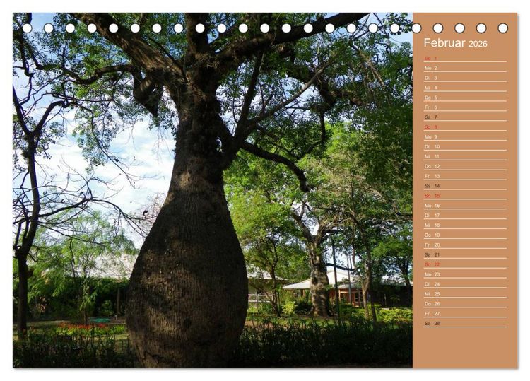 Produktbild: Bilder aus dem Chaco in Paraguay (Tischkalender 2026 DIN A5 quer), CALVENDO Monatskalender