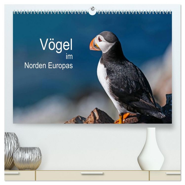 Produktbild: V&ouml;gel im Norden Europas (hochwertiger Premium Wandkalender 2026 DIN A2 quer), Kunstdruck in Hochglanz