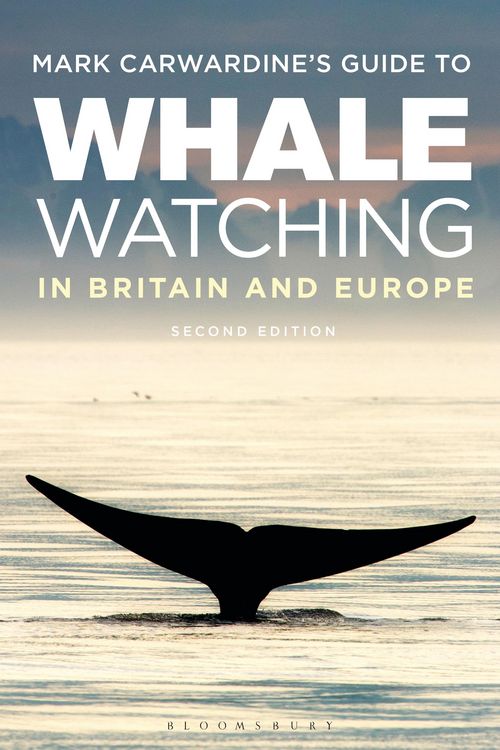 Produktbild: Mark Carwardine's Guide To Whale Watching In Britain And Europe