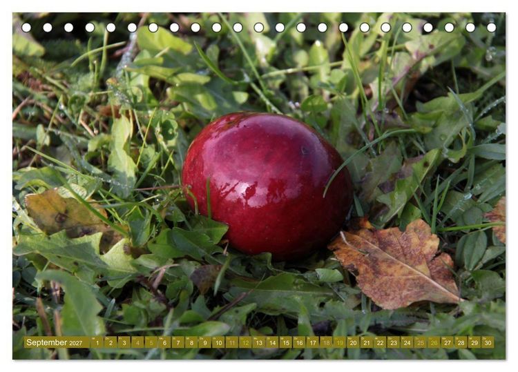 Produktbild: Apfelbaum und Streuobstwiesen (Tischkalender 2027 DIN A5 quer), CALVENDO Monatskalender