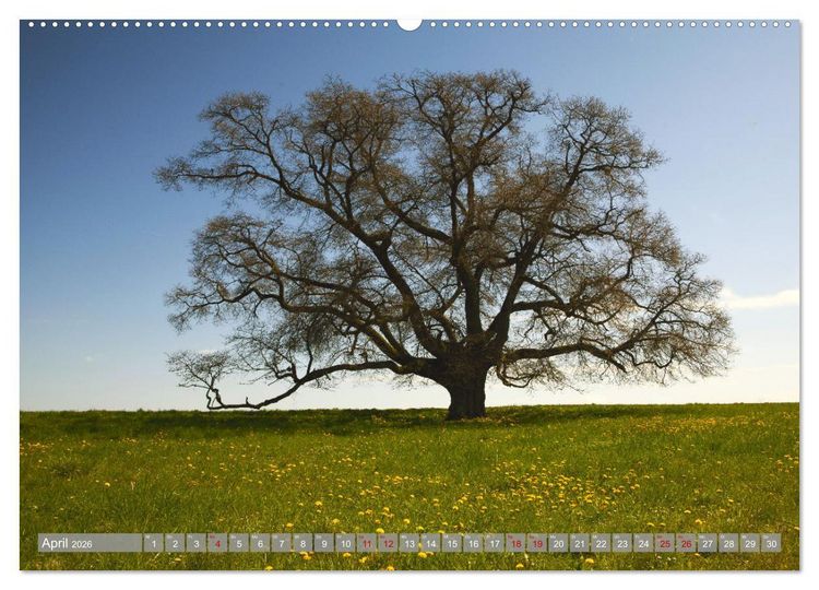 Produktbild: Wundersch&ouml;ne schw&auml;bische Alb (Wandkalender 2026 DIN A2 quer), CALVENDO Monatskalender