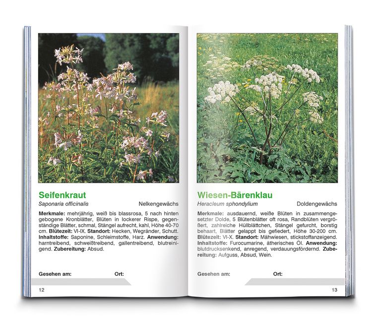 Produktbild: KOMPASS Naturf&uuml;hrer Heilpflanzen, der handliche Begleiter in die Natur