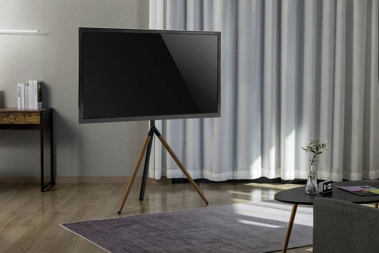Produktbild: SpeaKa Professional SP-TVS-800 TV-Standfu&szlig; 114,3cm (45\") - 165,1cm (65\") Bodenst&auml;nder