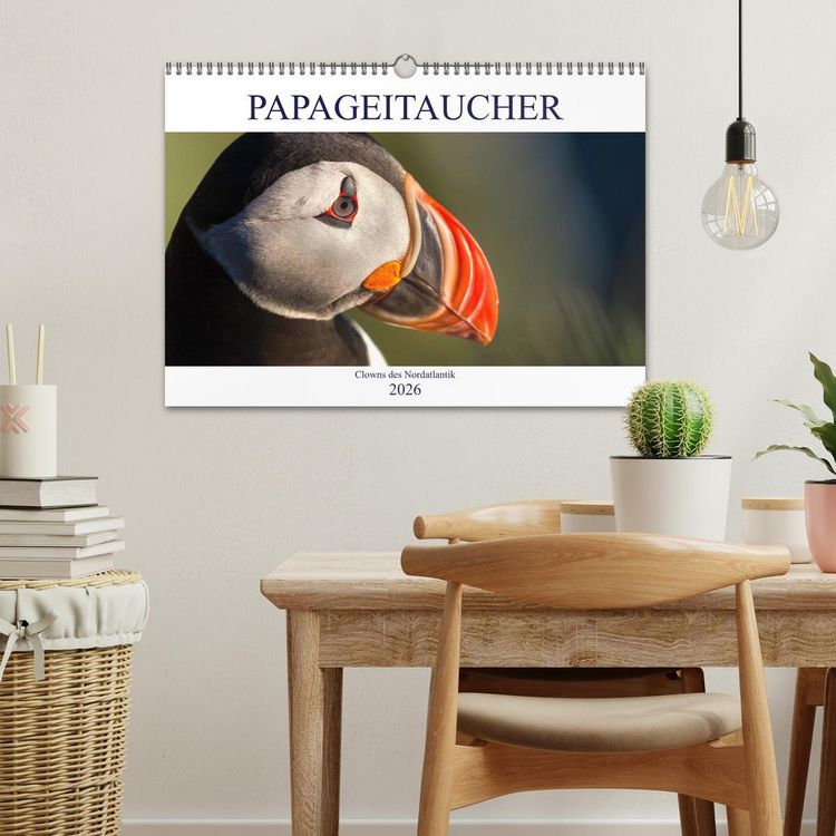 Produktbild: Papageitaucher: Clowns des Nordatlantik (Wandkalender 2026 DIN A3 quer), CALVENDO Monatskalender