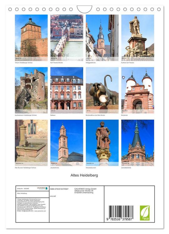 Produktbild: Altes Heidelberg (Wandkalender 2026 DIN A4 hoch), CALVENDO Monatskalender