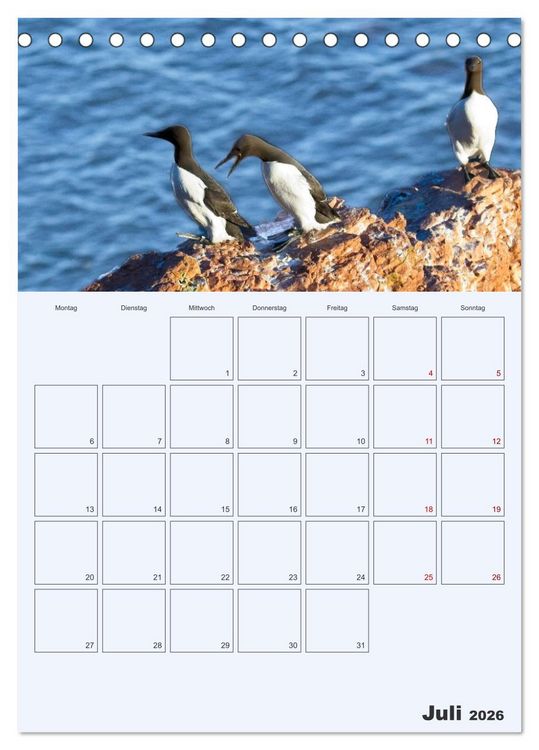 Produktbild: Wildes Leben auf Helgoland (Tischkalender 2026 DIN A5 hoch), CALVENDO Monatskalender