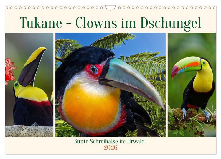 Produktbild: Tukane - Clowns im Dschungel (Wandkalender 2026 DIN A3 quer), CALVENDO Monatskalender
