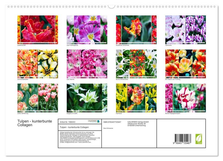 Produktbild: Tulpen - kunterbunte Collagen (hochwertiger Premium Wandkalender 2026 DIN A2 quer), Kunstdruck in Hochglanz