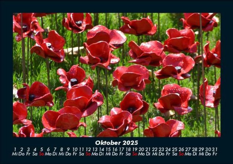 Produktbild: Blumenkalender 2025 Fotokalender DIN A5