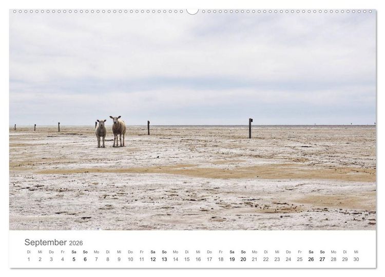 Produktbild: Nordfriesland (hochwertiger Premium Wandkalender 2026 DIN A2 quer), Kunstdruck in Hochglanz
