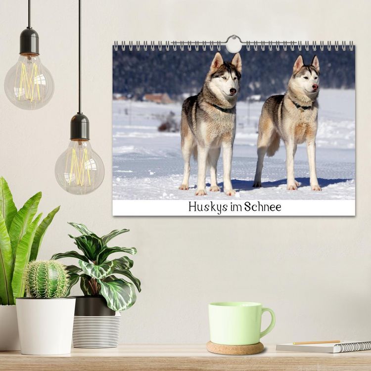 Produktbild: Huskys im Schnee (Wandkalender 2026 DIN A4 quer), CALVENDO Monatskalender