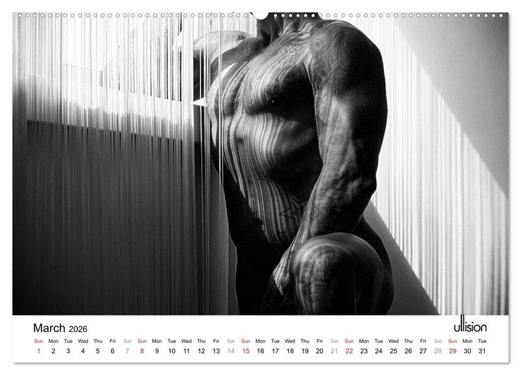 Produktbild: Male Nude Art (High Quality Premium Wall Calendar 2026 DIN A2 landscape),CALVENDO 12 Month Wall Calendar