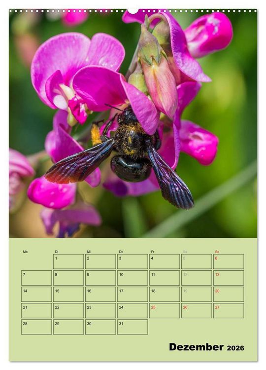 Produktbild: Bienenplaner (Wandkalender 2026 DIN A2 hoch), CALVENDO Monatskalender