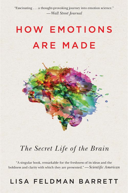 Produktbild: How Emotions Are Made