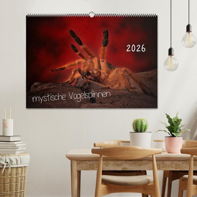 Produktbild: Mystische Vogelspinnen (Wandkalender 2026 DIN A2 quer), CALVENDO Monatskalender