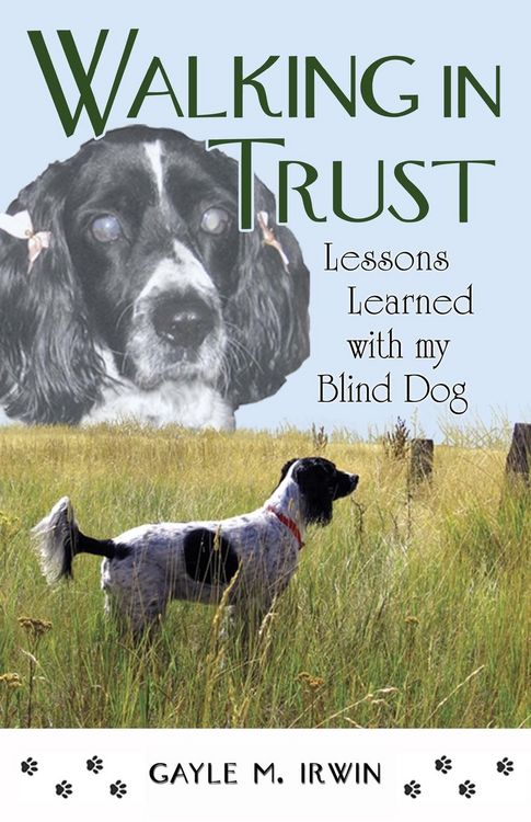 Produktbild: Walking in Trust