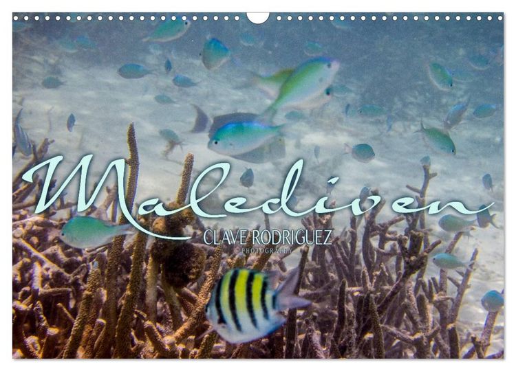 Produktbild: Unterwasserwelt der Malediven III (Wandkalender 2026 DIN A3 quer), CALVENDO Monatskalender