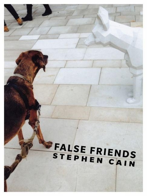 Produktbild: False Friends