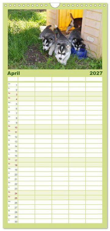 Produktbild: Familienplaner 2027 - Husky Welpen mit 5 Spalten (Wandkalender, 21 x 45 cm) CALVENDO