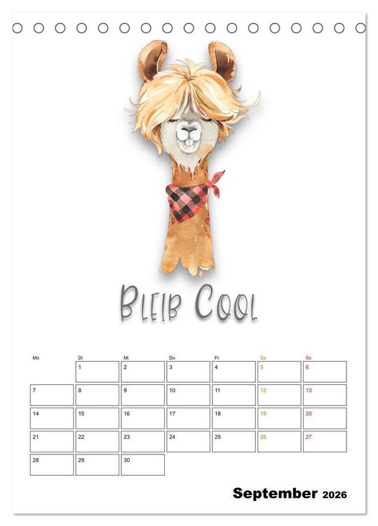 Produktbild: Bleib cool - Gute-Laune-Kalender (Tischkalender 2026 DIN A5 hoch), CALVENDO Monatskalender