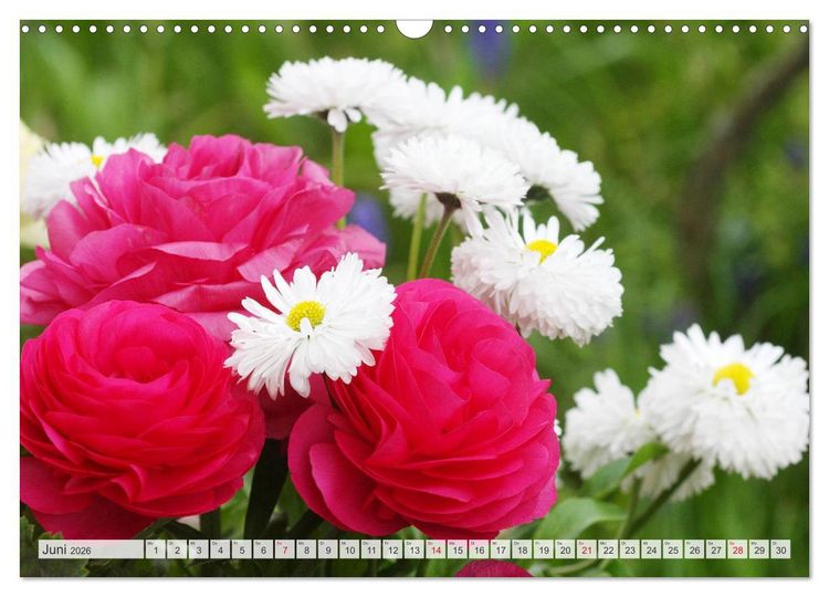 Produktbild: Roter Glanz Bl&uuml;tenpracht (Wandkalender 2026 DIN A3 quer), CALVENDO Monatskalender