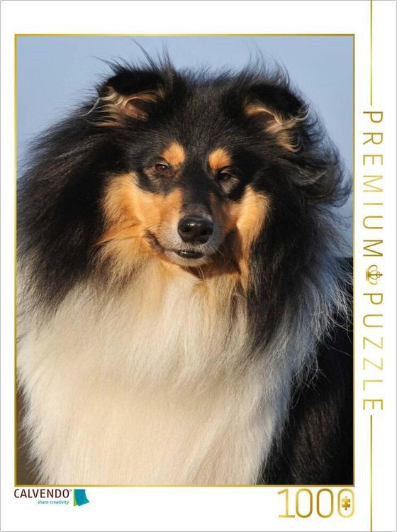 Produktbild: CALVENDO Puzzle Collies - Portr&auml;t eines R&uuml;den | 1000 Teile Lege-Gr&ouml;&szlig;e 64x48cm Foto-Puzzle f&uuml;r gl&uuml;ckliche Stunden