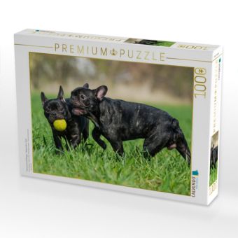 Produktbild: CALVENDO Puzzle Franz&ouml;sische Bulldogge - Welpen beim Spiel | 1000 Teile Lege-Gr&ouml;&szlig;e 64x48cm Foto-Puzzle f&uuml;r gl&uuml;ckliche Stunden
