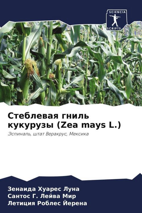 Produktbild: Steblewaq gnil' kukuruzy (Zea mays L.)