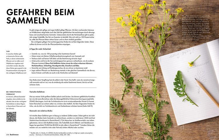 Produktbild: Wildkräuter – Bestimmen, Sammeln, Zubereiten