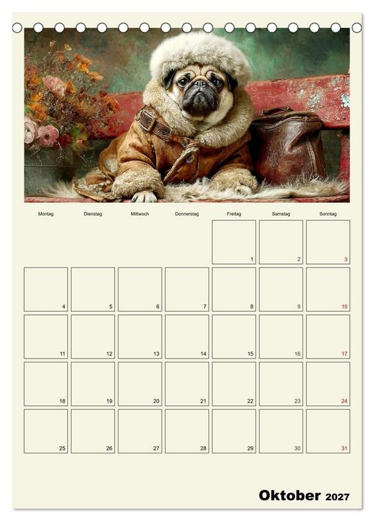 Produktbild: Schnuten im Herbstlicht. Kleine Hunde in stillen Momenten (Tischkalender 2027 DIN A5 hoch), CALVENDO Monatskalender