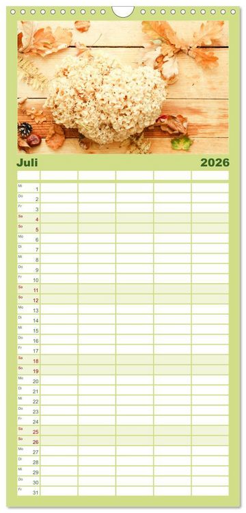 Produktbild: Familienplaner 2026 - K&ouml;stliche Waldpilze mit 5 Spalten (Wandkalender, 21 x 45 cm) CALVENDO