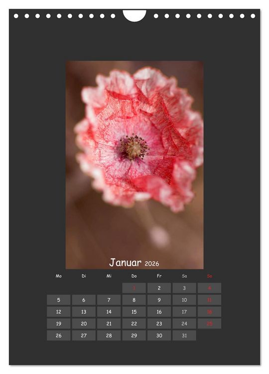 Produktbild: Mohn (Wandkalender 2026 DIN A4 hoch), CALVENDO Monatskalender